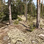 Poersvik