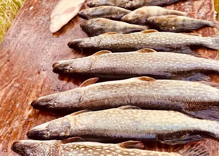 Poersvik Апартаменты